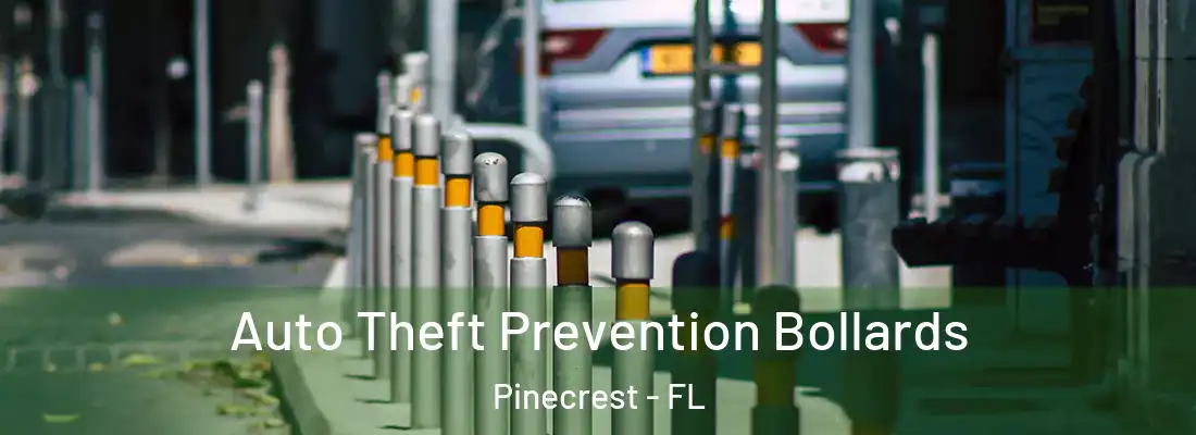  Auto Theft Prevention Bollards Pinecrest - FL