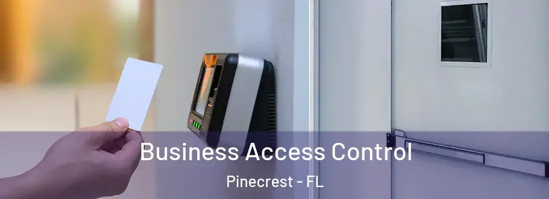  Business Access Control Pinecrest - FL