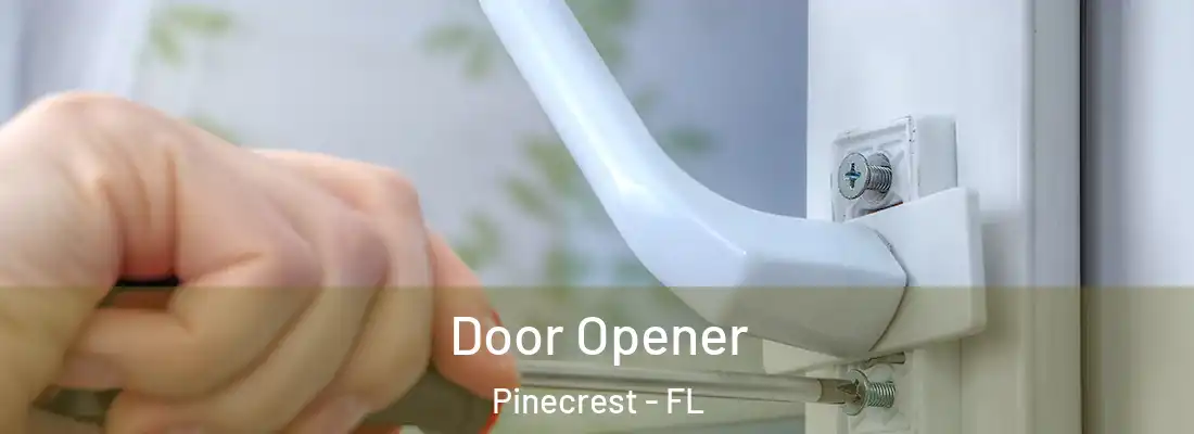  Door Opener Pinecrest - FL