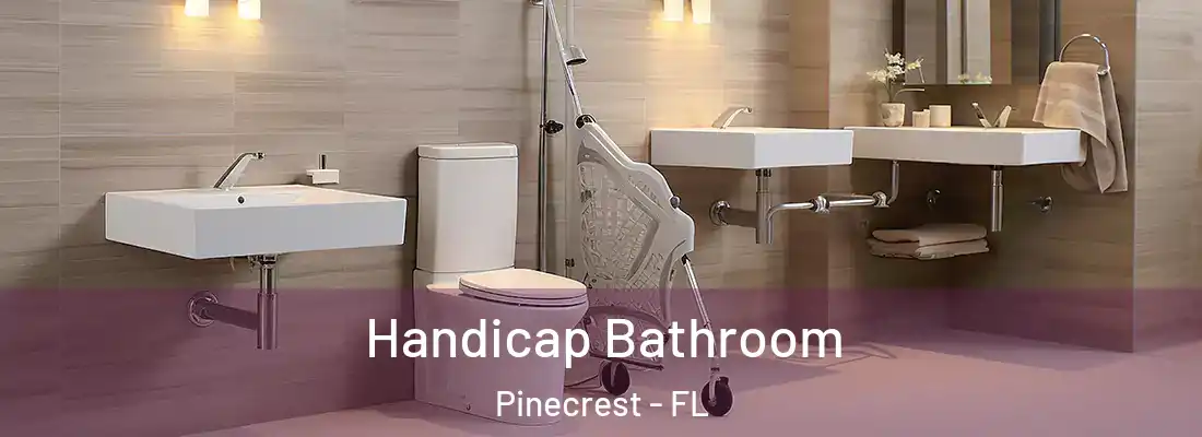  Handicap Bathroom Pinecrest - FL