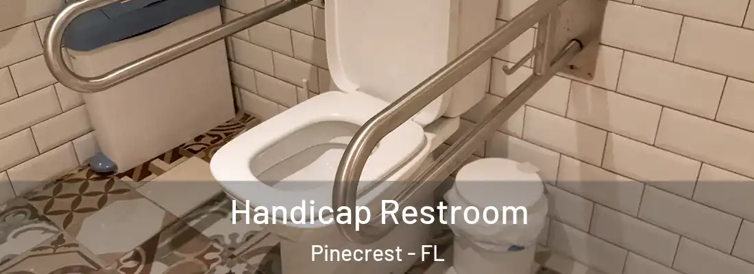  Handicap Restroom Pinecrest - FL