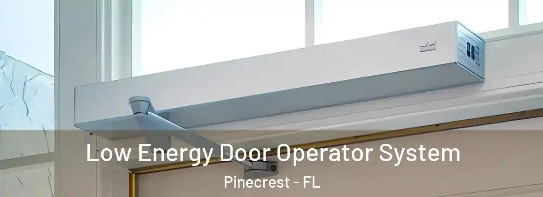  Low Energy Door Operator System Pinecrest - FL