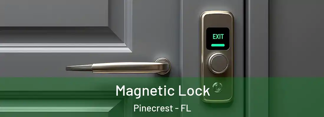  Magnetic Lock Pinecrest - FL