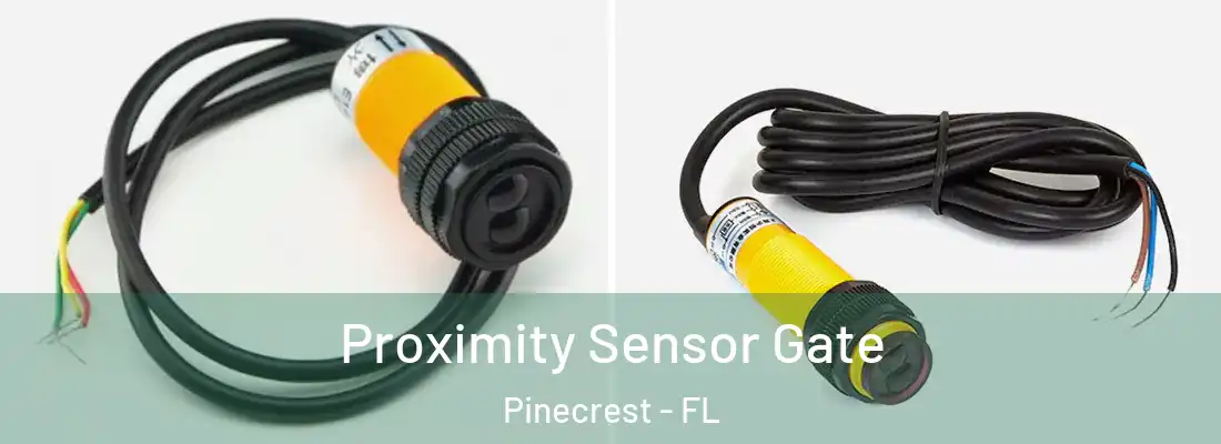  Proximity Sensor Gate Pinecrest - FL