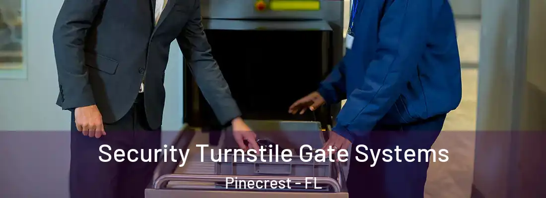 Security Turnstile Gate Systems Pinecrest - FL